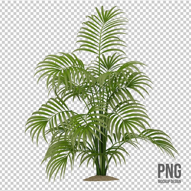 PSD coleção de plantas tropicais decoração isolada
