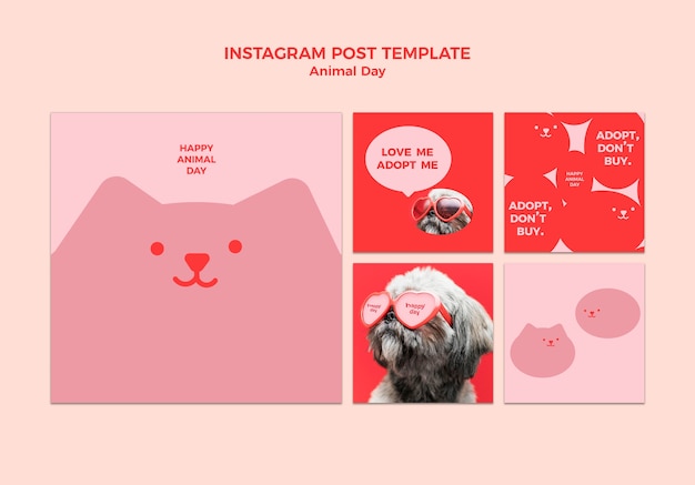 PSD coleção de postagens do instagram do dia mundial dos animais com cães
