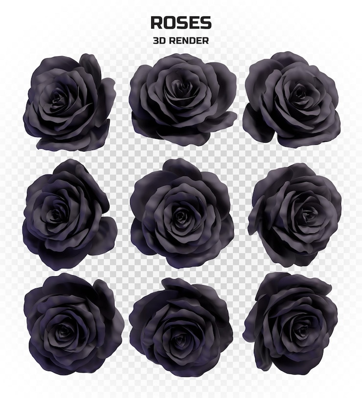 PSD coleção de rosas negras de renderização 3d realistas em alta resolução com muitas perspectivas