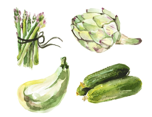 Coleção pintada em aquarela de vegetais elementos de design de alimentos frescos desenhados à mão isolados no fundo branco