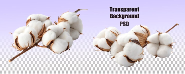 PSD una colección de bolas de algodón esponjosas dispuestas sobre un fondo claro