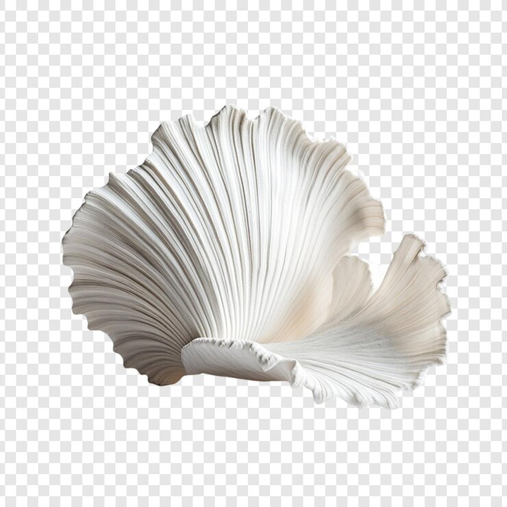 PSD colección de cintas doradas elementos de diseño elegante para marcas de lujo y decoración conjunto de pancartas de cintas onduladas y rectas