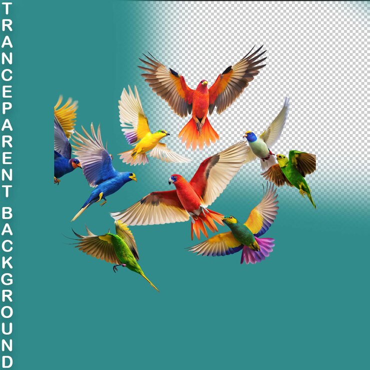 PSD colección de colibríes de acuarela pintada a mano sobre un fondo transparente