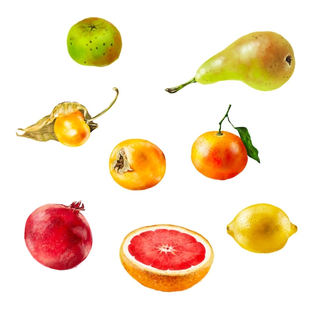 PSD colección de frutas de invierno ilustradas