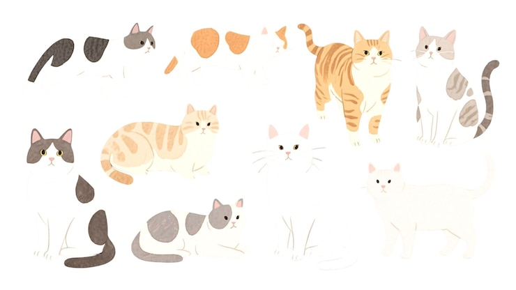 PSD colección de gatos adorables en varias poses y razas