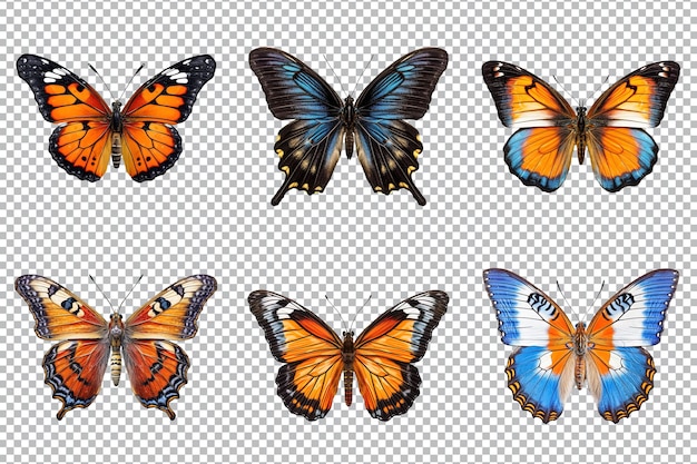 Colección de mariposas multicolores aisladas sobre fondo transparente