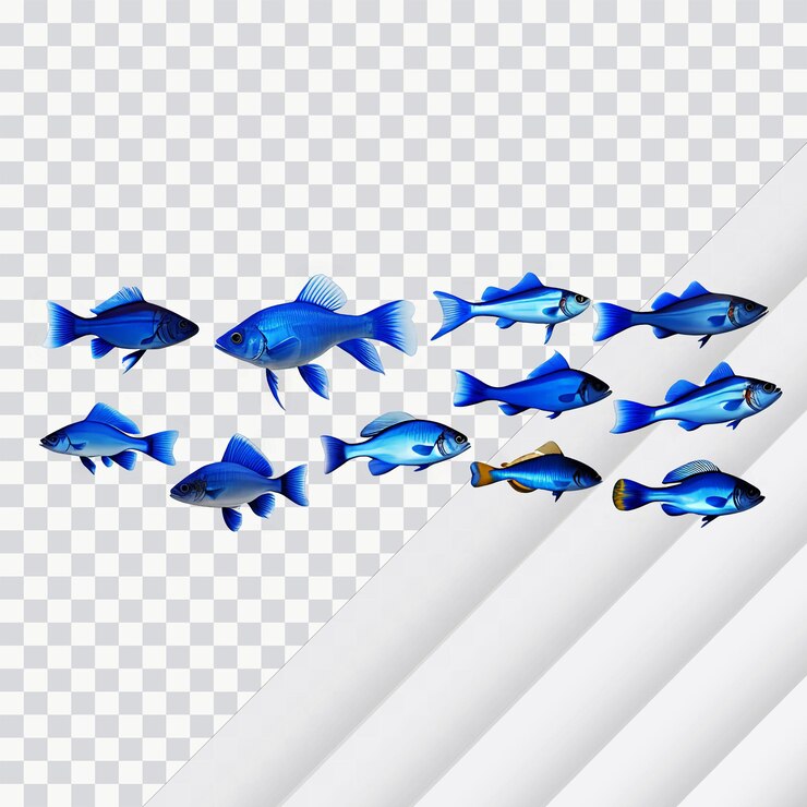 PSD colección de peces azules aislados en un fondo claro