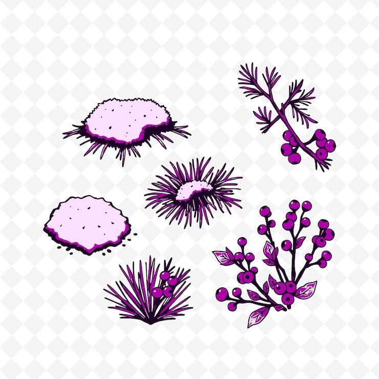 PSD una colección de plantas y flores en un fondo blanco