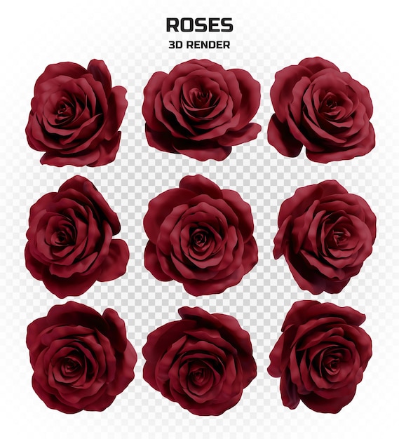 Colección de rosas burdeos renderizadas en 3d realistas en alta resolución con muchas perspectivas
