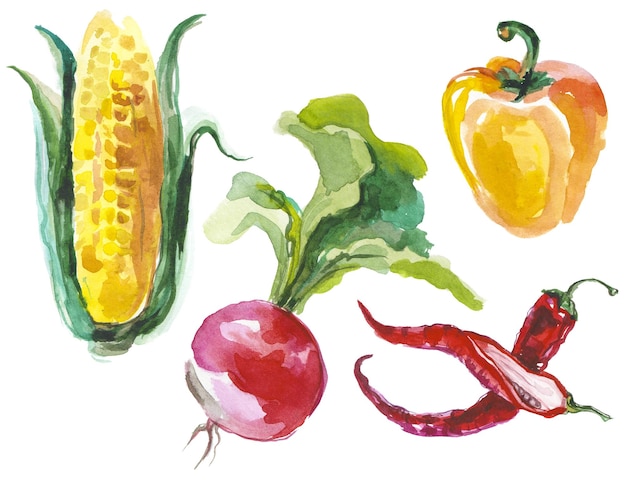 Colección de verduras pintadas con acuarela Elementos de diseño de alimentos frescos dibujados a mano aislados sobre fondo blanco