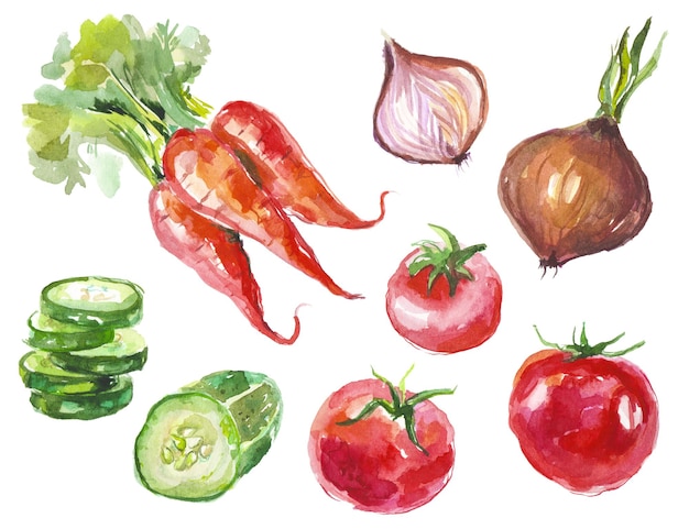 Colección de verduras pintadas con acuarela Elementos de diseño de alimentos frescos dibujados a mano aislados sobre fondo blanco