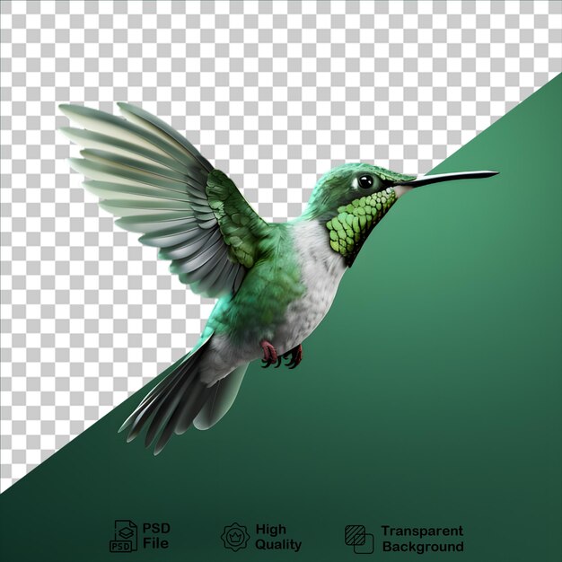 Colibrí verde aislado en fondo transparente incluye archivo png