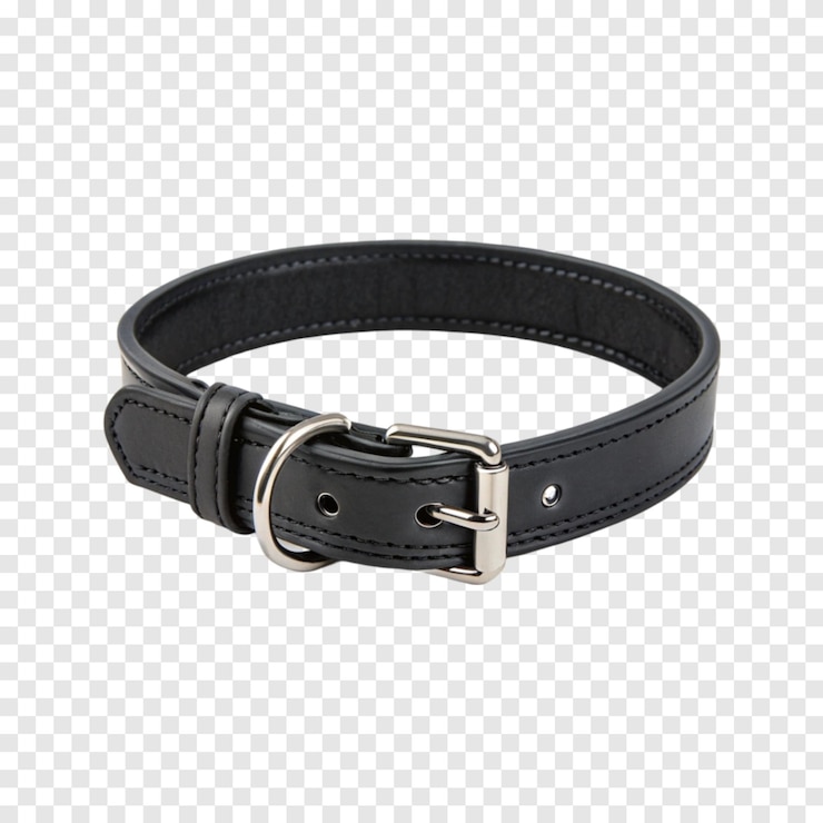 PSD collar de perro de cuero negro con hebilla aislada sobre un fondo blanco transparente