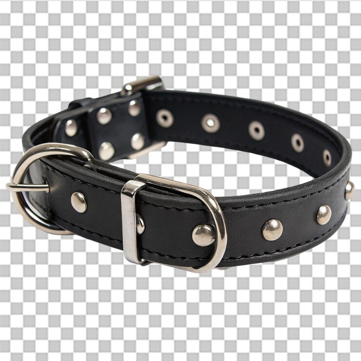 PSD collar de perro de cuero negro con hebilla de metal y pernos aislados sobre un fondo transparente