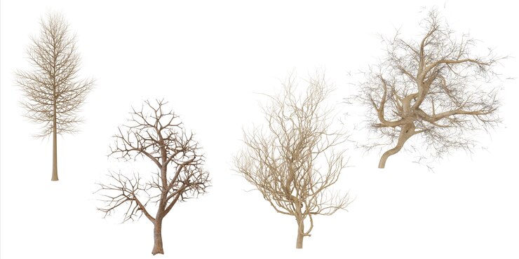 PSD collecte de branches et d'arbres séchés