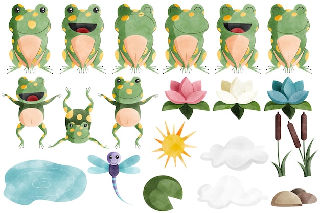 Collection d'aquarelles, de grenouilles, d'étangs et d'éléments de la nature