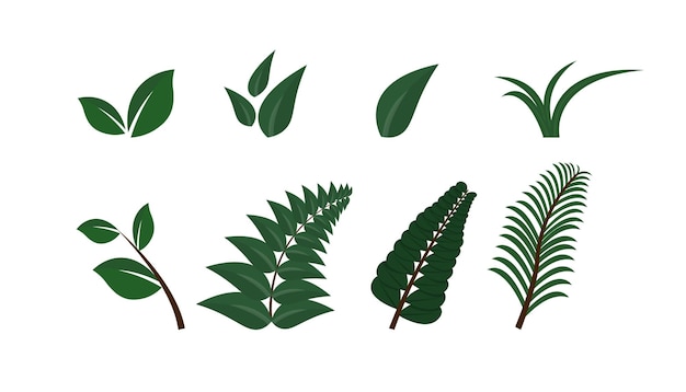 Collection de feuilles d'automne Illustrations du feuillage de saison