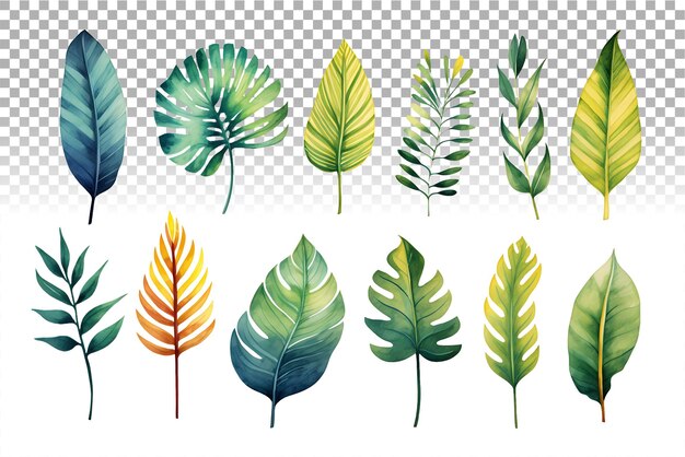 PSD collection de feuilles tropicales à l'aquarelle avec des palmiers monstera et des feuilles de banane dans des teintes vives