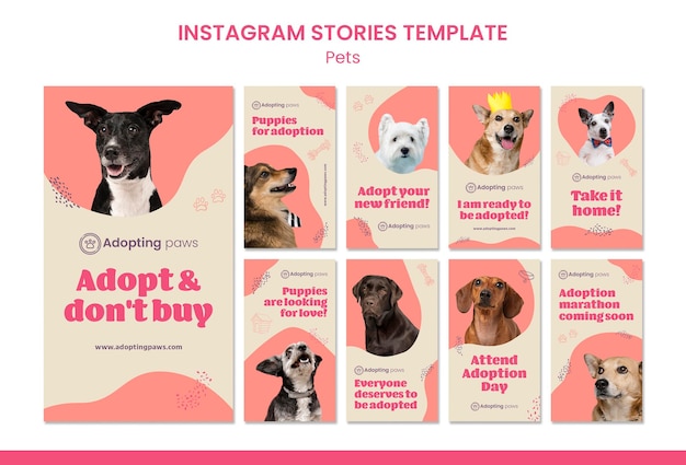 Collection d'histoires Instagram pour l'adoption d'un animal de compagnie avec un chien