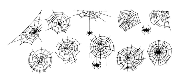 Collection of Spider Webs and Spiders Isolated on White Background