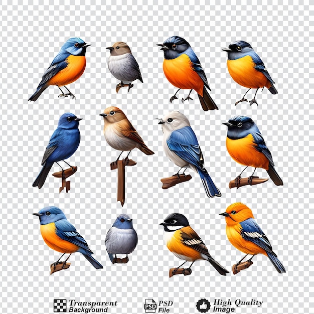 PSD collection d'oiseaux de redstart à front bleu isolés sur un fond transparent