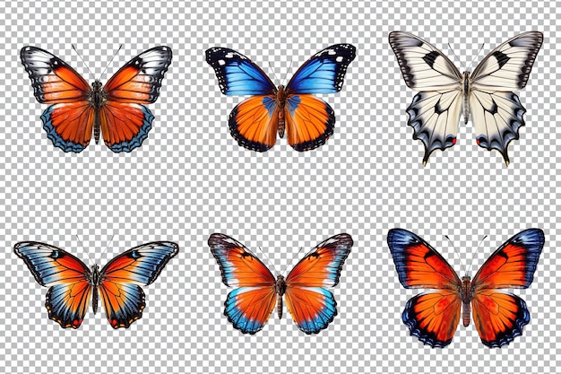 PSD collection de papillons multicolores isolés sur fond transparent