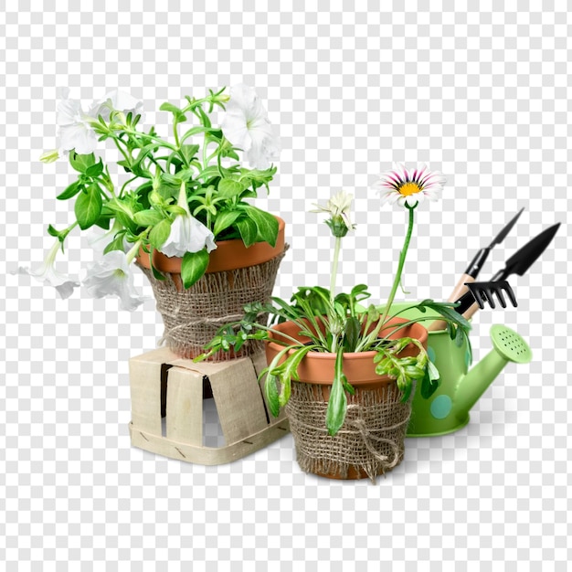 Une collection de pots à fleurs