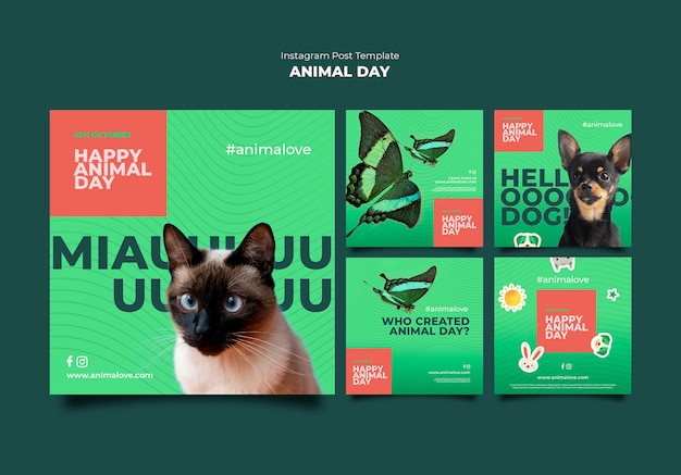 PSD collection de publications instagram de la journée des animaux avec des animaux