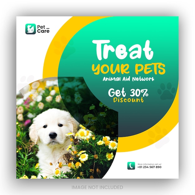 Collection de publications Instagram pour les animaleries