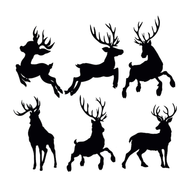 Une collection de superbes styles de cerfs