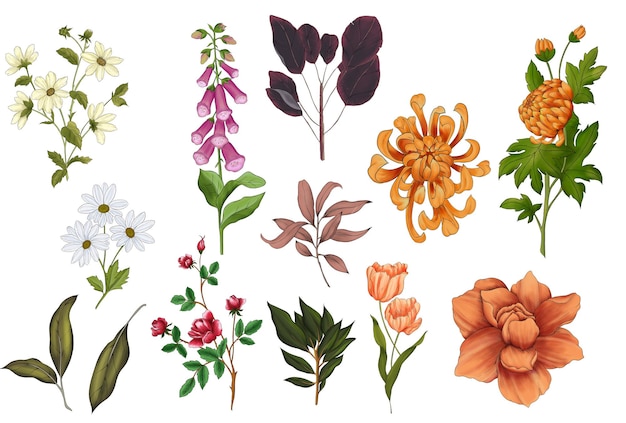 collezione di fiori e rose disegnate a mano