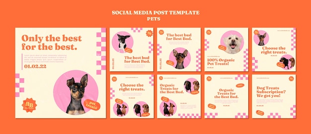 Collezione di post di instagram di prelibatezze per animali domestici organici con un cane carino