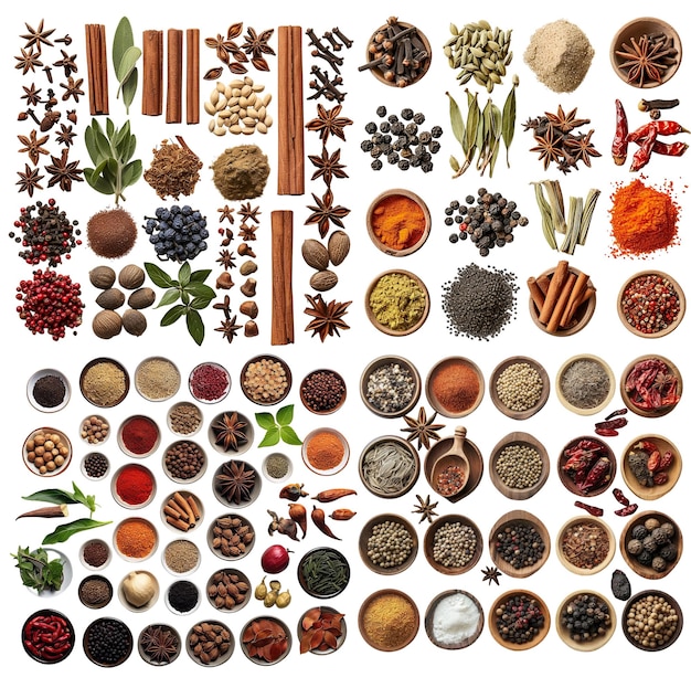 Collezione di spezie aromatiche