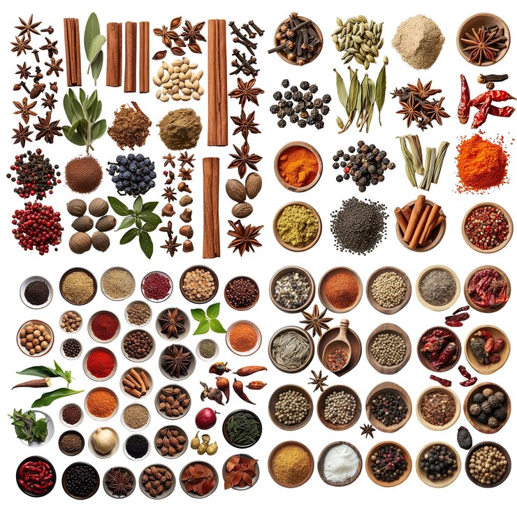 PSD collezione di spezie aromatiche