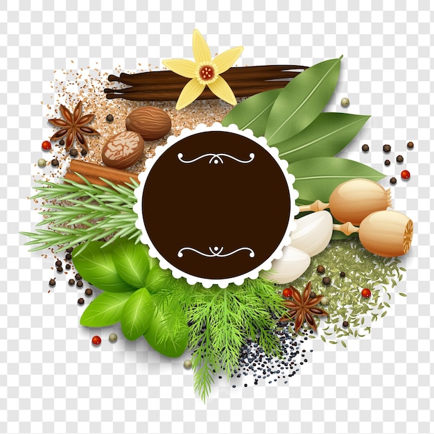 Collezione di spezie e erbe aromatiche per prelibatezze culinarie isolate su uno sfondo trasparente