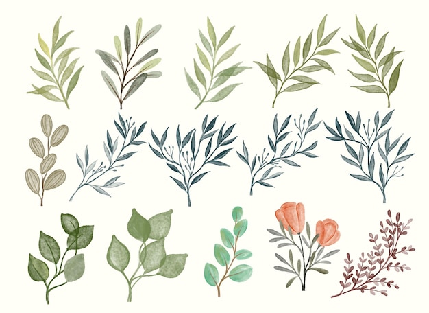 Collezione stile acquerello foglia e fiore