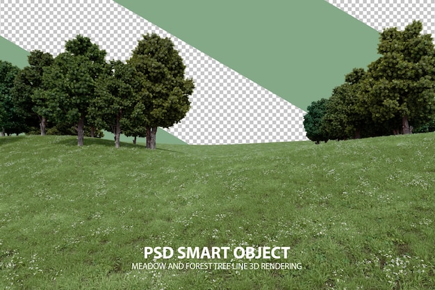 PSD colline d'herbe réaliste et ligne d'arbres forestiers rendu 3d d'objets isolés