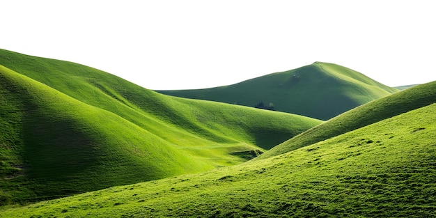 Des collines verdoyantes sur un fond blanc