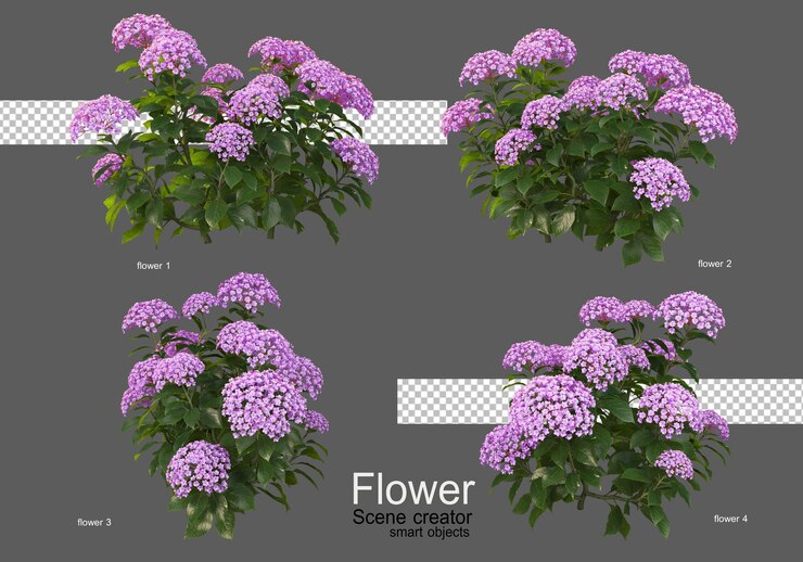 PSD los colores de varios tipos de flores.