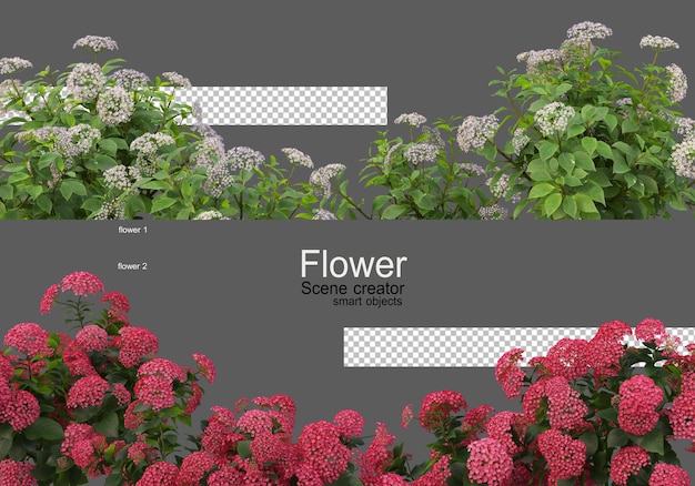 PSD los colores de varios tipos de flores.