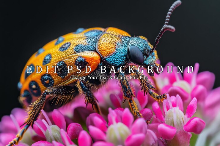 PSD colorful beetle on pink flowers