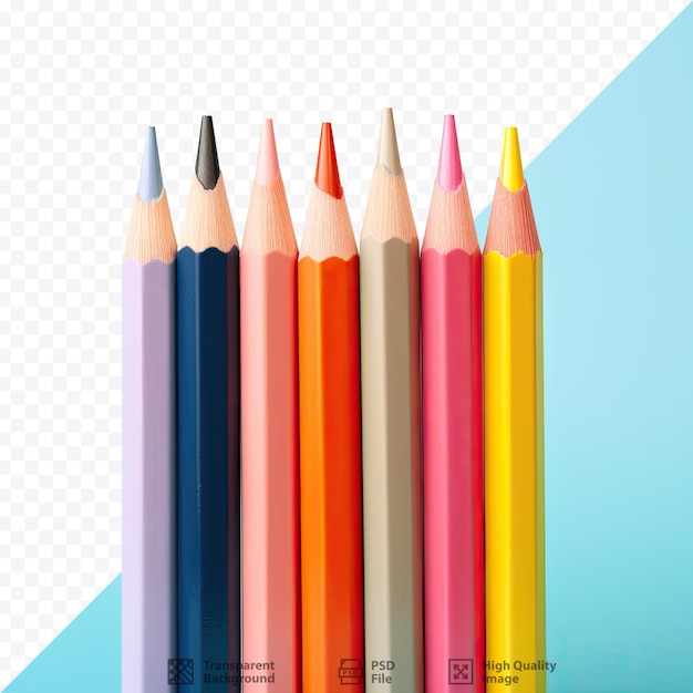 Colorful pencils against a transparent background
