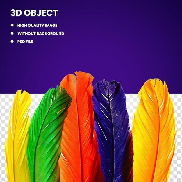 PSD una colorida exhibición de plumas con el título de objeto 3d.