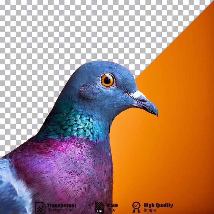 PSD la colorida paloma azul en el perfil
