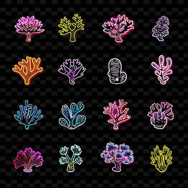 Un colorido conjunto de imágenes coloridas de malezas marinas y un cactus