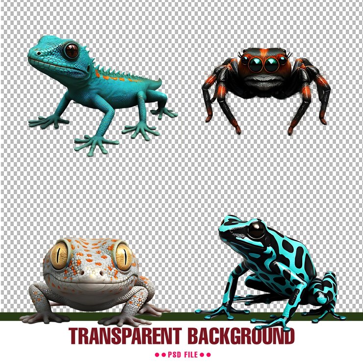 PSD coloridos reptiles tropicales y arañas en un fondo transparente