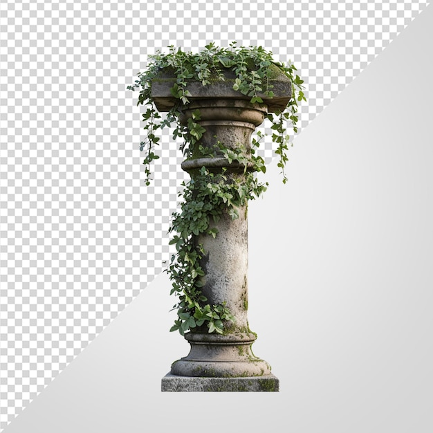 PSD columna antigua con follaje cubierto de vegetación antiguo arquitecto png