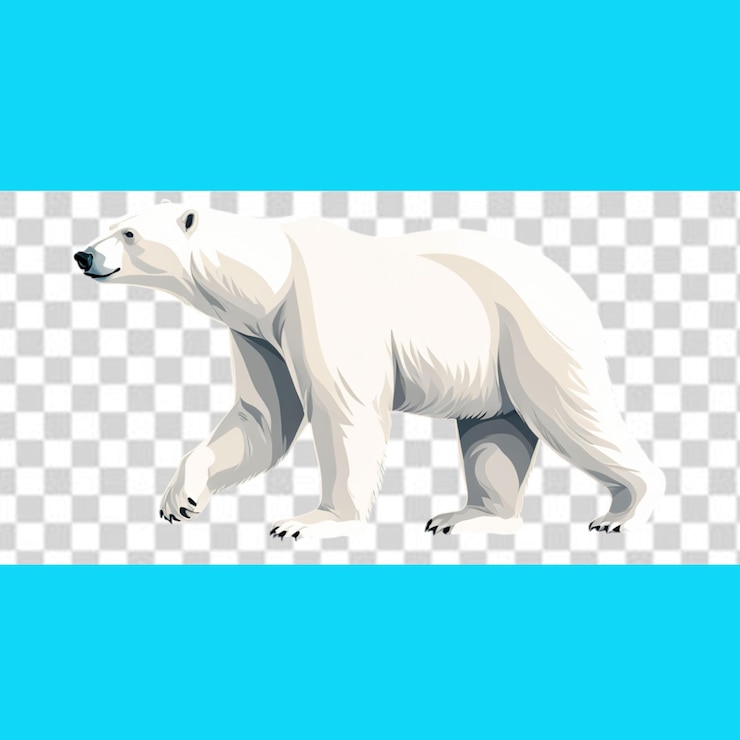 PSD cómo hacer una diferencia para los osos polares en el día internacional del osos polares