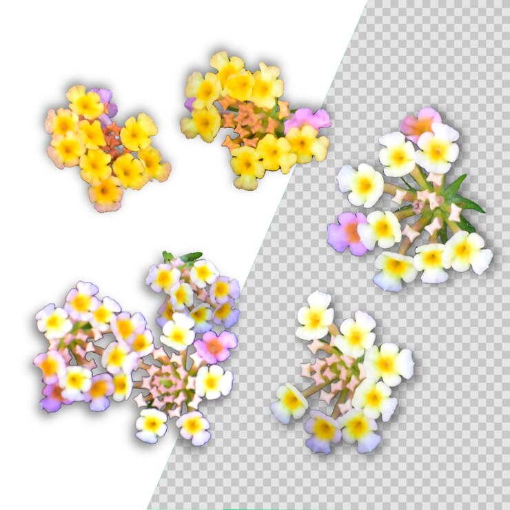 PSD composição de flores isoladas