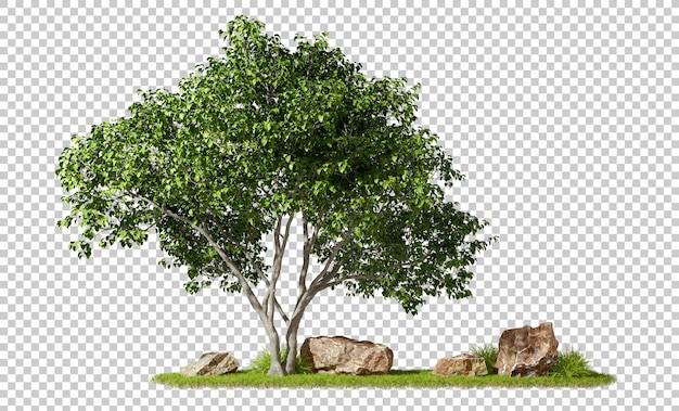 Composición de árbol de diseño con hierba y rocas escena recorte fondos transparentes renderización 3d png